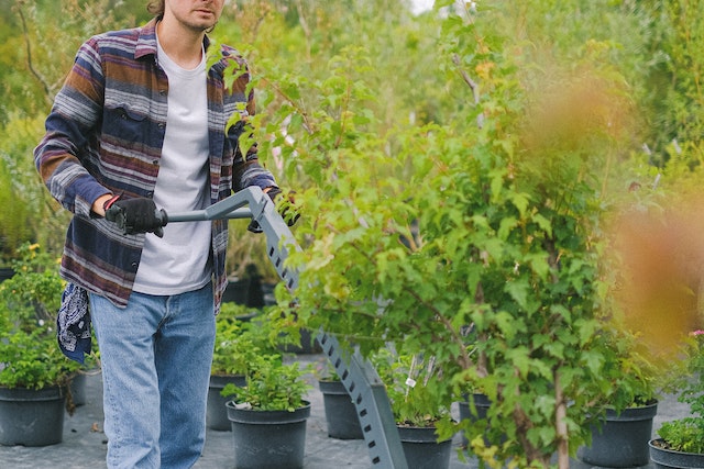 Paysagiste Mont-de-Marsan