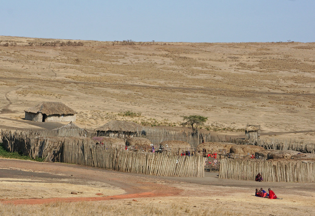 Petit village Maasai dans la savane