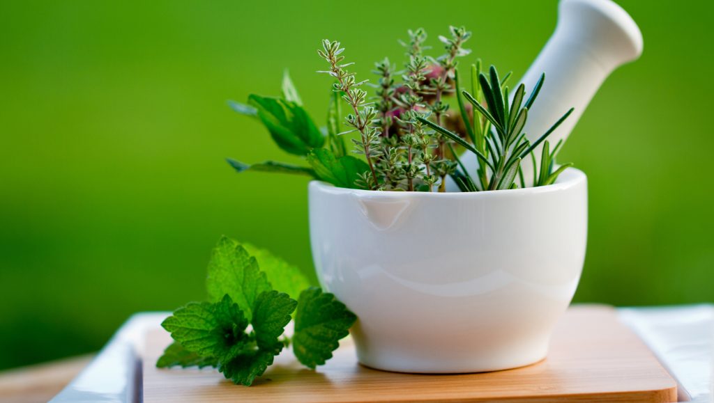 naturopathe bordeaux