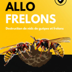 Nid de guêpes ou frelons à Varilhes