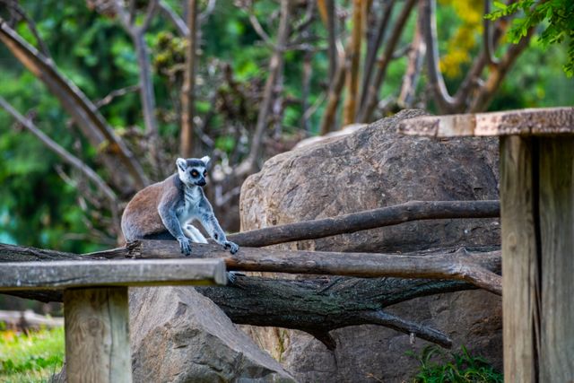 Les avantages d&rsquo;un voyage sur mesure à Madagascar